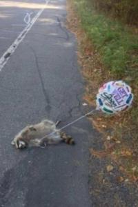 198661_514146301930239_1334388033_n