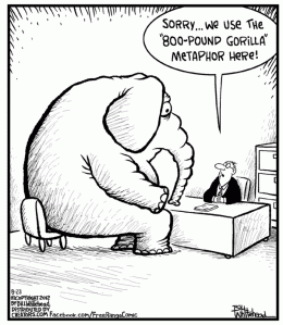 Elephant not in the room