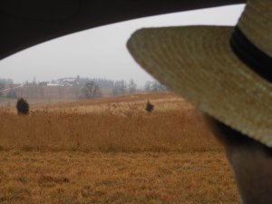 Amish Man About To Lose Soul