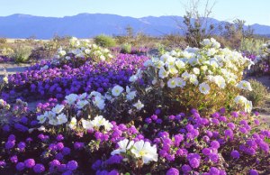 E196CEBB64475030E33B8886CD2313