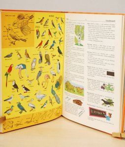 il_570xN_387685668_jxop