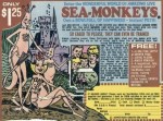 Sea Monkey photo