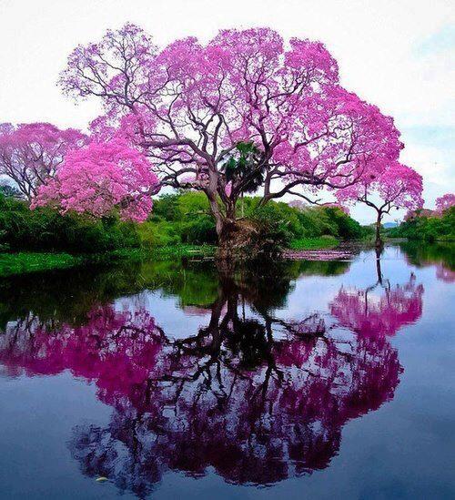 525231_10151517196796904_1878235769_n