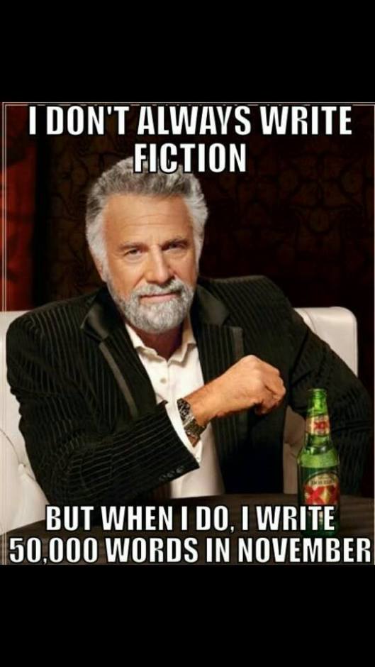 1374818_313263478814194_89723170_n