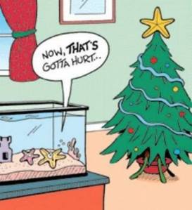 1479188_827976413898480_997309767_n