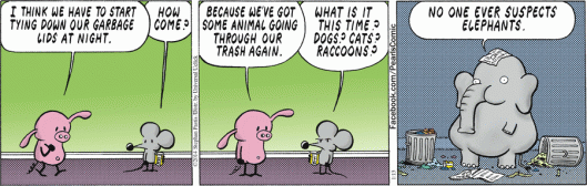 Facing My Tiger: Creating Peace & Tranquility. | elephant journal