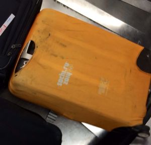 1620456_10203059253151898_1763805067_n