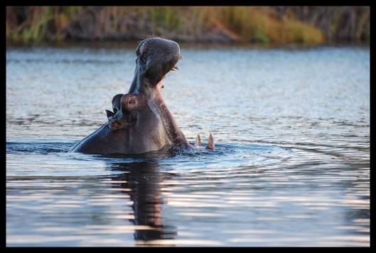 1609780_10203511270652053_1300529996088336367_n