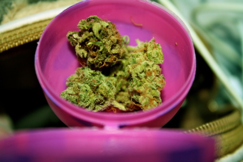 tumblr_m1dcwgsO2N1rpjuo2o1_500