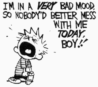 calvin-bad-mood