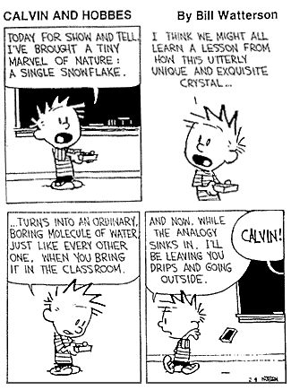 calvin-hobbes