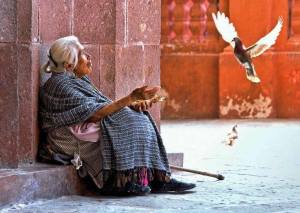 10527786_873669465996305_570642333341145543_n