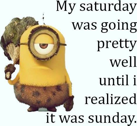 1620990_573942872755237_8819348686766841127_n